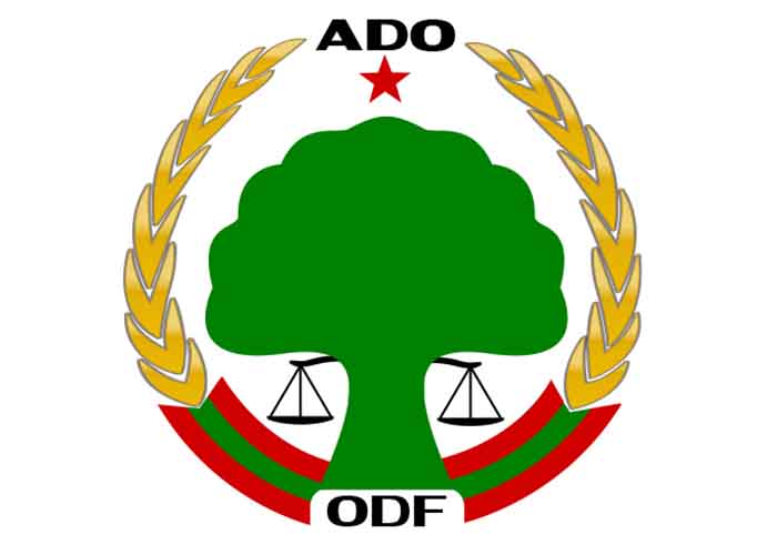 የኦሮሞ ዴሞክራቲክ ግንባር (ኦዴግ). Oromo Democratic Front (ODF) የኦሮሞ ዴሞክራቲክ ግንባር (ኦዴግ). Oromo Democratic Front (ODF)