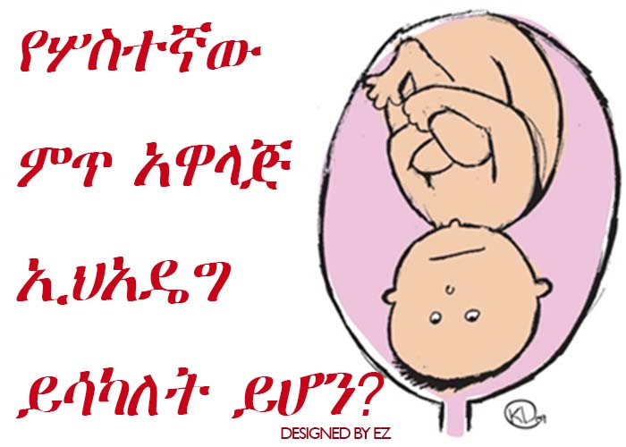 የሦስተኛው ምጥ አዋላጅ ኢህአዴግ ይሳካለት ይሆን? የሦስተኛው ምጥ አዋላጅ ኢህአዴግ ይሳካለት ይሆን?