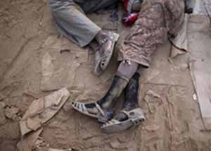 7 Ethiopians killed in tanzania