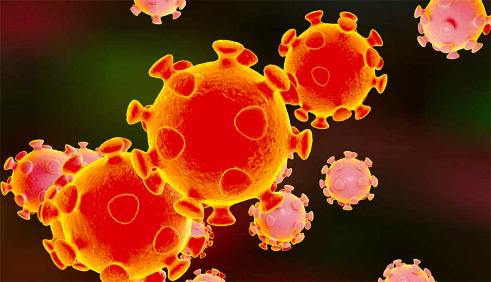 3ዲ (3D) ኮሮና ቫይረስ በምስል (© istock.com/Dr_Microbe)